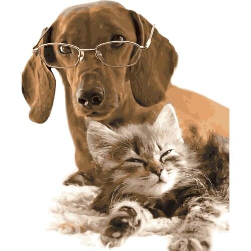 MaHuaf-i588 Wearing glasses dog and squinting cat DIY painting by Numbers animal Hand-painted canvas oil painting for home Decor