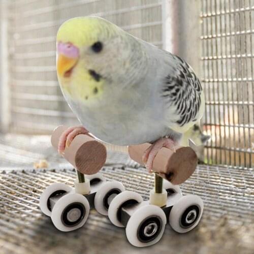 Roller Skates Parrot Mini Roller Skates Double Row Toy Pet Intelligence Training Supplies Pet Products Pet Products