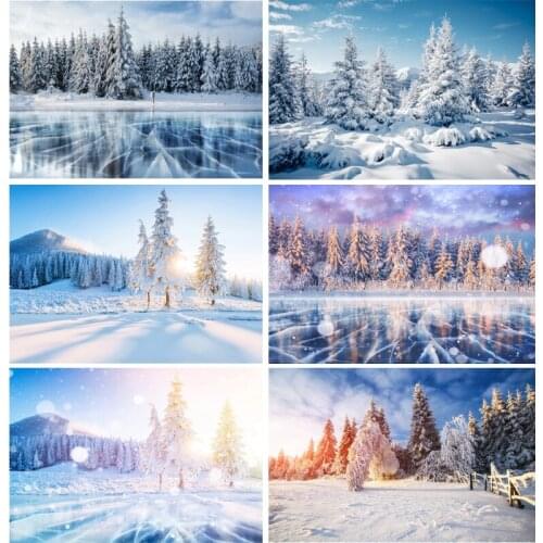 Vinyl Custom Photography Backdrops Winter snow Theme Photography Background LICJD-3561