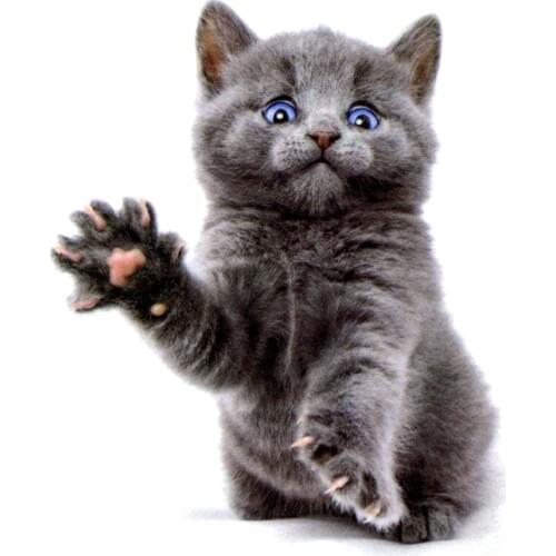 30pcs The Cute Cat Of Blue eyes Waterproof Temporary Tattoos Sticker Body Art Tattoo Temporary tatoo halloween henna tattoo