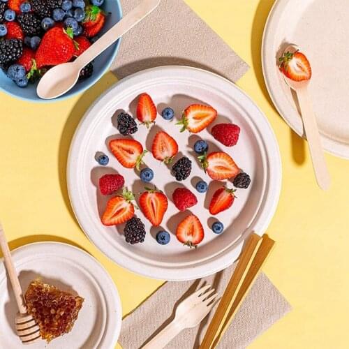 100 Pack Compostable Disposable Round Bagasse Paper Plates Biodegradable Sugarcane Fibre