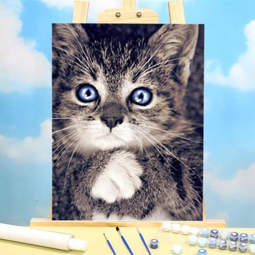 Animal Cat Paint By Numbers Package Oil Paints 50*70 Painting On Canvas Loft Picture For Adults Art