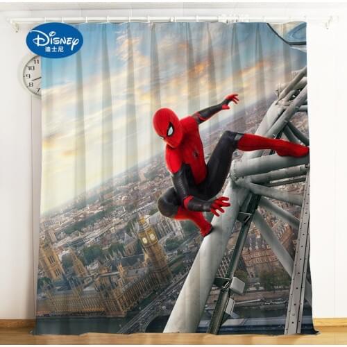Disney Curtains In The Living Room On The Window