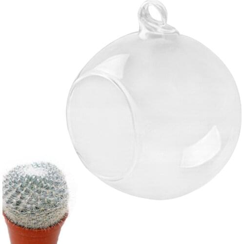 6 Pcs Clear Ball Shaped Hanging Glass Vases Flat Base Design Ball Shape Flower Plants Terrarium Vase Containers Landscape