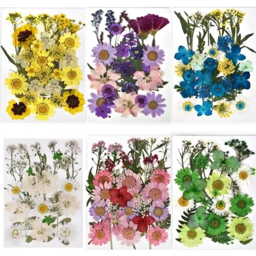 1 Pack Dried Flowers DIY UV Resin Filling Natural Flower Stickers For Epoxy Resin Mold Nail Art Handmade Crafts Home Decoration