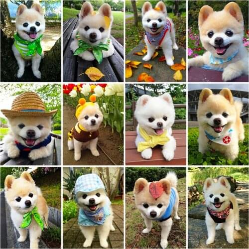 Evershine Diamond Painting Dog Cross Stitch Kit New Diamond Mosaic Animals Bead Embroidery Sale Hobby DIY Handmade Gift