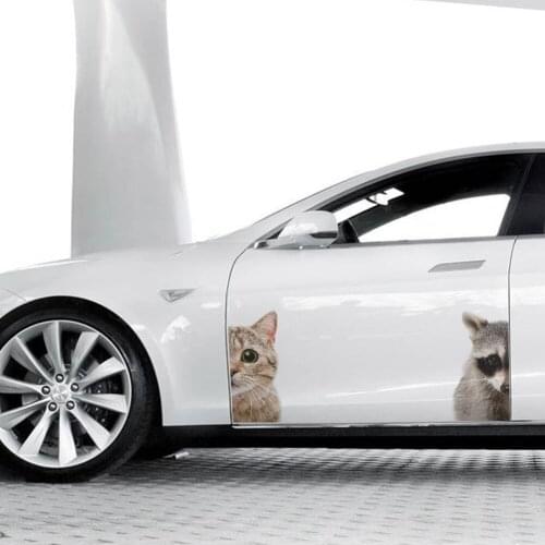 Funny Cat Raccoon Pattern Wall Stickers For Kids Room Home Decoration 3d View Animals Mural Art Decorative Car Decals Pvc Poster