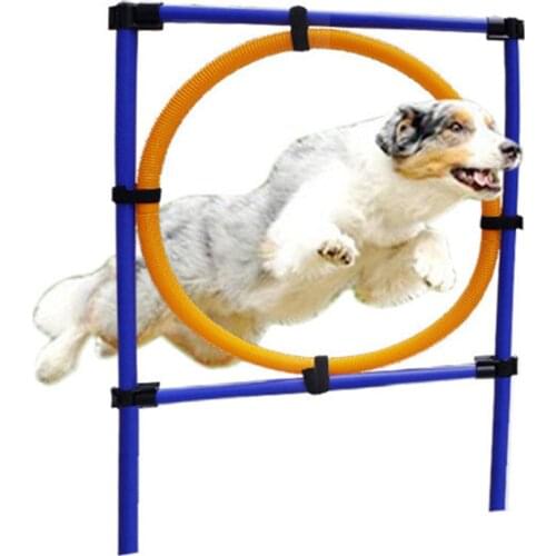 Pet Sports Equipment Training Toys Dogs High Jumping Ability Training Loop With Storage Bag Outdoor Jumping Circle Games