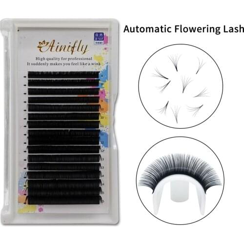 AINIFLY Fast Fanning Eyelash Extensions C/D Curl 8-15mm Mix Length Easy Fanning Lash Volume Fans Individual Mink Eyelashes