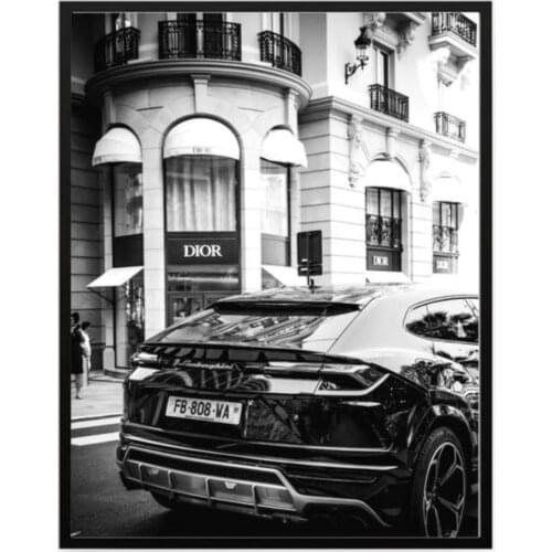 Poster Black and White Modern Fashion Wall Art Posters and Prints for Living Room Painting for Interior Frameless Landscape