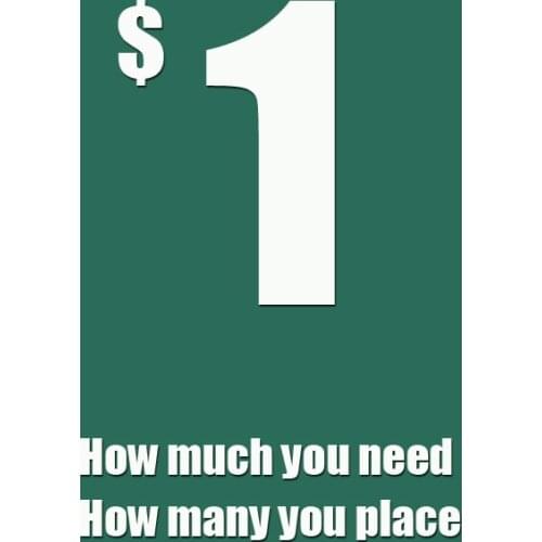 Additional Pay On Your Order & Extra Fees & Shipping Cost / Postage Difference 995