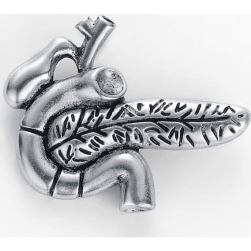 Best Pancreas Pin Badge Anatomy Medical Doctors Nurse Gift Gold Color Lapel Pin Metal An Exquisite Brooch Classic Jewelry Women