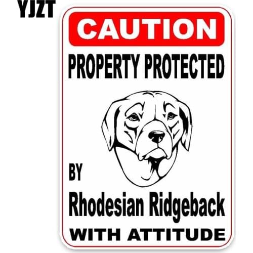 YJZT 11.4*16CM Property Protected By Rhodesian Ridgeback Dog Car Decoration Bumper Window Sticker C1-4732