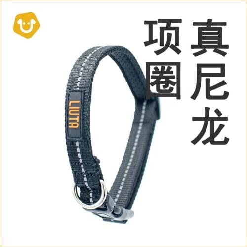 2021 Pet Products Collars Small And Medium-sized Dog Collars Corgi Reflective Leashes Nylon Pet Slings