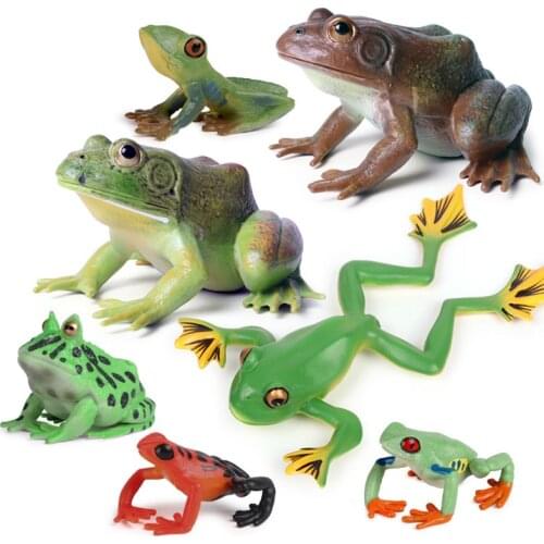 8 Kinds Frog Animal Figure Collectible Toys Wild Animal Cognition Action Figures Kids Plastic Model Toys