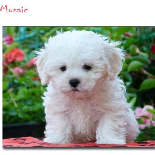 DIY 5D Diamond Embroidery maltese dog Diamond Mosaic Picture of square Diamond Painting animal pet Cross Stitch Kits home decor