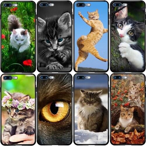 Cover Case for Xiaomi Redmi Note 6 7 9 8T 10T 9S 9A 8A A3 A2 A1 Pro Lite Black Shark Mix Max Pet Maine Coon Cat Silver