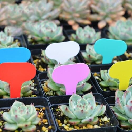 Garden Nursery Label Markers Nursery Pots Seedling Labels Plant Tags T-type PP Plastic Plant Tags 100Pcs Tray Mark Tools