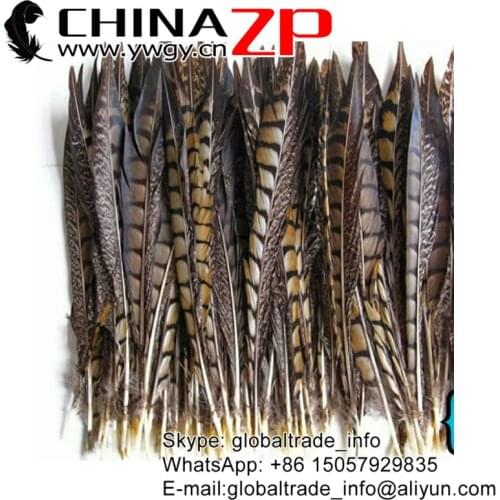 CHINAZP Factory 50pcs/lot 35-40cm(14-16inch) High Quality Carnival Design Natural Faisan Lady Amherst Pheasant Feathers