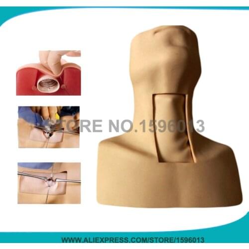 Tracheostomy Simulator model, Cricothyrotomy, Tracheotomy Care Training Manikin