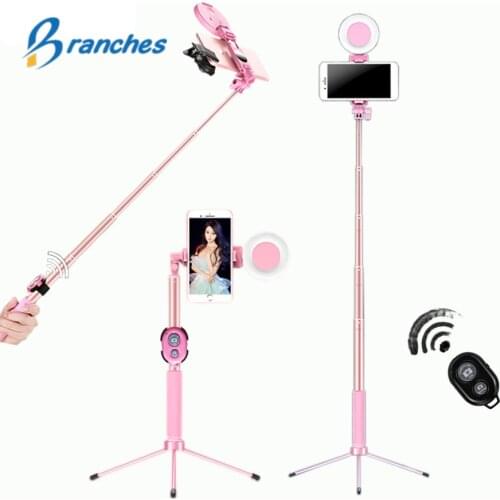 Branches Tripod Stands