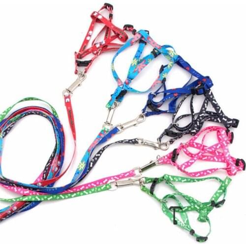 New Adjustable Print Rope Small Pet Dog Cat Rope Collars & Lead Leash Harness Chest Strap Cat Pets Porducts Multiple 10 Colour