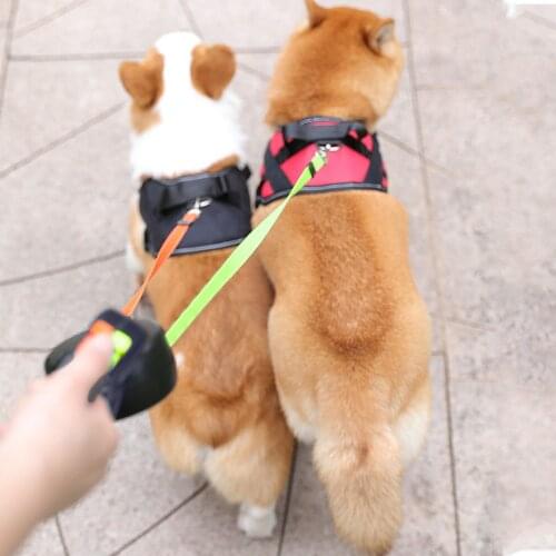 Retractable Pet Leash Rope Traction Rope Nylon Dog Outdoor Solid Walking Lead Pet Supply Walk The Dog Adjustable Pet Supplies