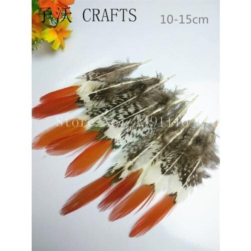 Hot! 10 pc 10-15cm quality natural Lady Amherst Pheasant feathers, diy jewelry decoration