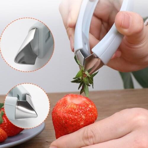 Stainless Steel Cutter Practical Seed Remover Pineapple Eye Peeler Fruit Vegetable Carrot Tomato Tweezers Home Kitchen Tool