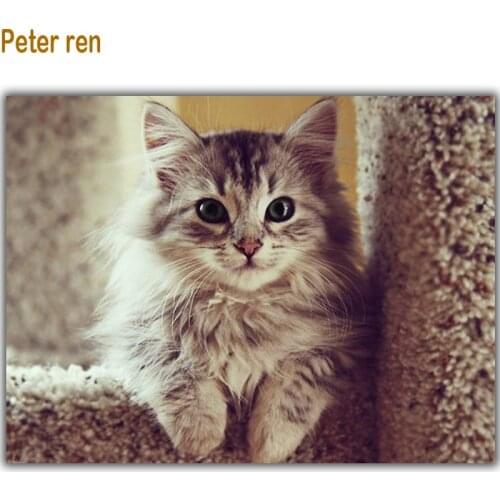 Peter ren Diamond painting Cross stitch Diy Diamond embroidery animal Cat full 3d square rhinestone resin Diamond Mosaic