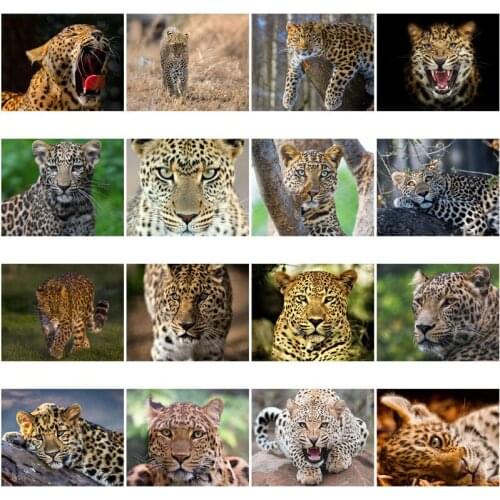 5D Diy Diamond Painting Animal Leopard Full Square Drill Cross Stitch Rhinestone Embroidery Bedroom Decoration Handmade Products