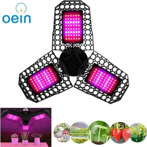 Светодиодные лампы для растений Oein China At AliExpress