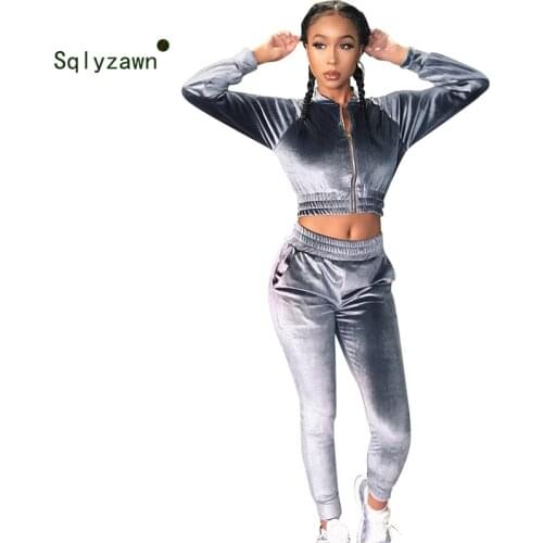 2019 Autumn Winter Fashion Women Sweatshirt Pants Sets Velvet Tracksuit Velour Smooth Soft Suit Ladies Long Sleeve Outfit Femme