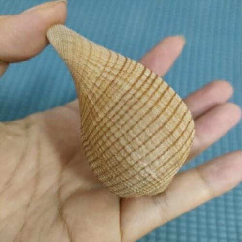 1pc rare Sea Shells Natural Scallop Seashell Beach Wedding Decorations Home Decor Ocean Ornaments DIY Craft