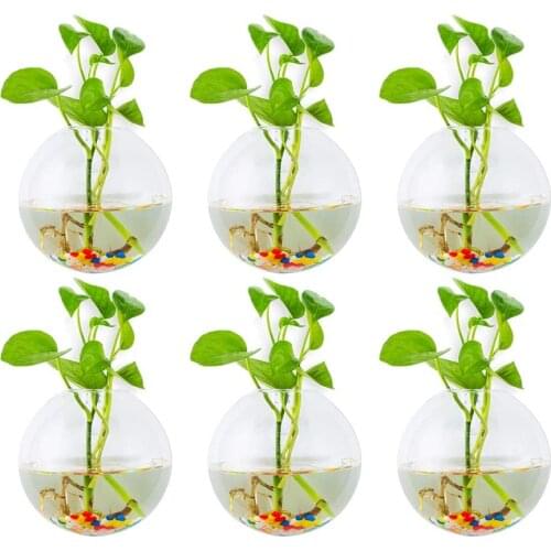 Glass Planters Wall Hanging Planters Hanging Air Plant Pots Flower Vase Air Plant Terrariums Hanging Plant Containers