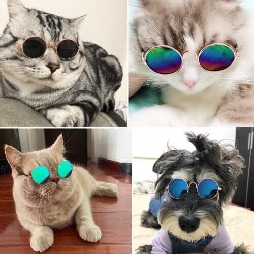 1PC Lovely Pet Cat Glasses Dog Glasses Pet Products Kitty Toy Dog Sunglasses Photos 3 Cm Pet Accessoires Round Colorful