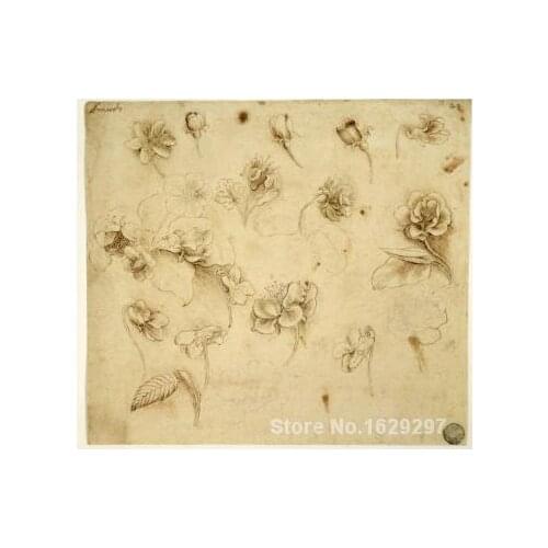 Portrait Painting Study of Flowers by Leonardo Da Vinci Canvas High quality Hand painted