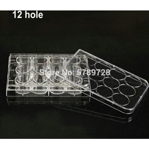 10pcs 12 hole Lab Disposable Cell culture plate Bacterial culture plate enzyme label plate sterilization packaging