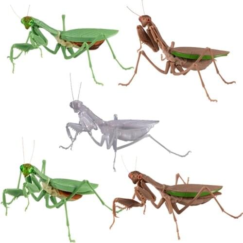 Spot Bandai Tide Play Swing Pieces Swing Egg Praying Mantis Green Brown Transparent Simulation Insect First Bullet 01
