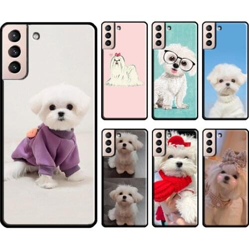 Maltese Dog Puppy Cute Phone Cover For Samsung Galaxy S21 S20 Ultra Note 20 Note 10 S8 S9 S10 Plus S20 FE Case
