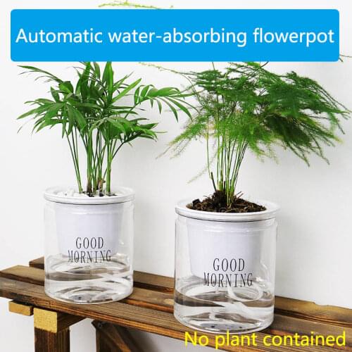 Liorna Plant Pots