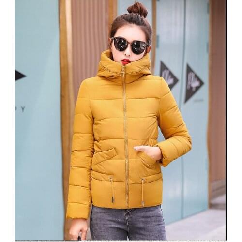 New Top Fashion Polyester Long Zipper Slim Cotton-padded Woman 2019 Korean Cotton Thickening Student Fashion Small Bread Serve