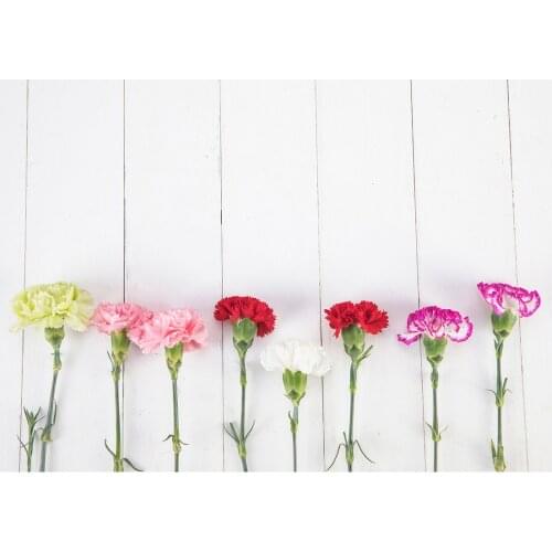 Photo Backdrop White Board Carnations Vinyl Cloth Background for Children Baby Mothers Day Party Photobooth Photography Props