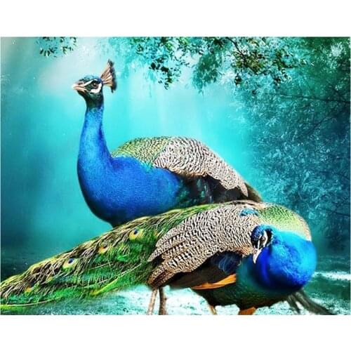 Diamond Painting Cross Stitch Peacock Picture of Rhinestone Full Square Diamond Embroidery Animal Bead Work Bird DIY Hobby TY44
