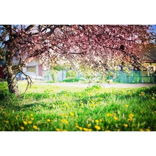 Spring Park Photography Background Pink Cherry Blossoms Green Lawn Yellow Small Wildflower Backdrop For Wedding Party Decortion