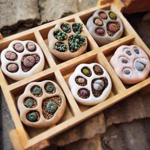 Paw Design Succulent Planting Concrete Pot Mold Cute Cat Claw Cup Plaster Clay Cement Silicone Mold