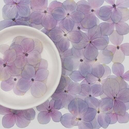 60Pcs/Set Natural Pink Purple Hydrangea DIY Dried Flowers UV Expoxy Resin Mold Filling Nail Art Pressed Flower Accessories