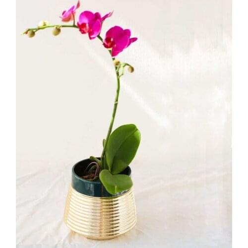 Creative light luxury metal flowerpot ceramic potted gold succulent cactus plant flowerpot balcony garden home decoration