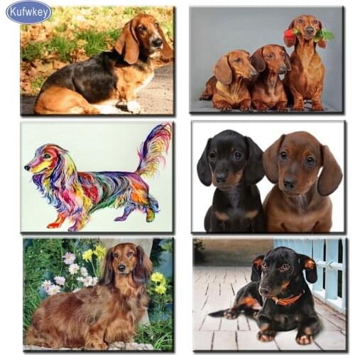New arrivals 5d diy Diamond Painting Professor Dachshund cross stitch kit diamant painting dog pet,diamond dots home decor gift