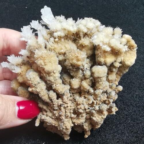 101.5gNatural rare cactus flower calcite and crystal stone mineral specimen healing energy furniture decoration QUARTZ GEM